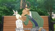 D 动物狂想曲 S01~S03