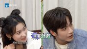 Q 青春HY记 第五季 (2024)（附1-4季）