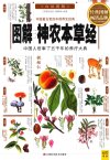 图解中国养生