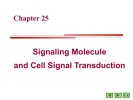 复旦大学生物化学课件与教案