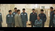 鲨鱼风暴