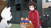 LM丨拉面赤猫 拉面红猫
