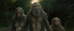 大脚野人日落Sasquatch Sunset (2024)