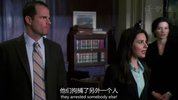 法律与秩序
