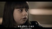 81号档案 (2022)