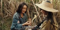 乔Y的心事2024