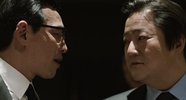 一枝梅2008全20集