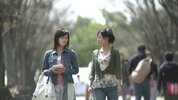 欺诈猎人2006全11集