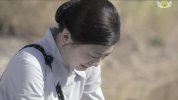 如虎添翼2024全130集