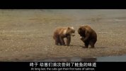 【纪录片】我们的浩瀚宇宙