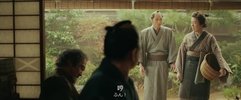 八犬传2024