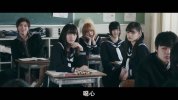 三角草的春天2018