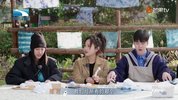 绝密配方2023