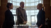风骚律师