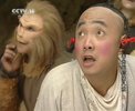 春光灿烂猪八戒