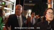 C 宠物男孩