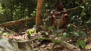 【BBC】非洲