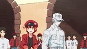 G工丨作细丨胞 真人版 [2024][附动漫全季]