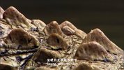 M蟒丨蛇：沉丨默丨杀手.2014.国配中英双字.2160P.4K[1