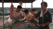 热带鱼(1995)