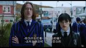 星期三，礼拜3⃣️（2022）全8集
