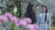 与君初相识