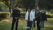 真相半白