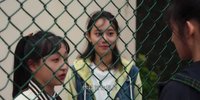 Y-木婴..-t-王虎-王