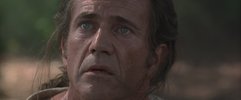 爱国者   2000
