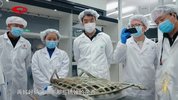 [纪录片] 重返三星堆 (2025) 2160P 国语中字 (全5集) [共14