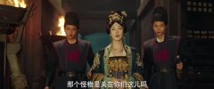 进阶的王妃