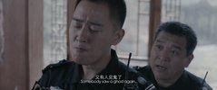 sz (2025) 1080P 国语中字 [2