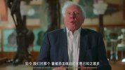 史前星球 1-2季全集 中文字幕