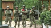 特种兵之火凤凰 (2013) 全48集