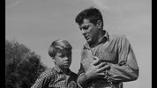 逃狱惊魂 The Defiant Ones (1958)(1)