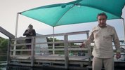 野性美洲 (2020) 1080P