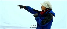 重返·狼群