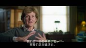 野趣 [2023]