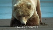 queens 大自然的女王