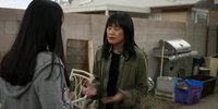 Q 清@洁@工 第四季 The Cleaning Lady Season 4 (2025) 悬疑 犯罪【附前三季】