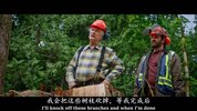 L 林场追@杀 Clear Cut (2024) 剧情 犯罪 电影