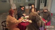 B 绷@不@住了啦  绷不@住@了啦·春日特辑 (2025) 更新2025 0401期 【综艺】