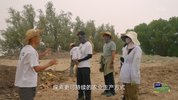 Y 一@路前@行 第二季 2025 爆火综艺最新资源