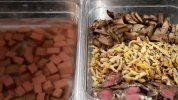 各类米粉，肠粉‘酸辣粉类20多种美食技术教程