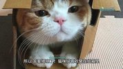 AI学习创富营-AI时代，赋能你终身学习、快乐赚钱、自动创富