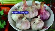 三十七种面类面条面食制作技术大全