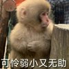 《北派盗墓笔记》主播:老彩故事会 连载至2100集_[...