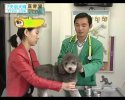 【训犬教程】专业训犬教程（140节课）