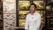 王昱珩：环球博物馆中的自然科学（完结）
