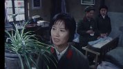绿荫